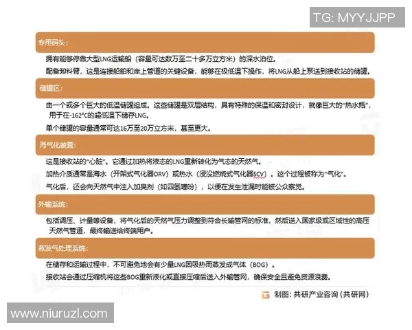 esports最新数据独家解析LNG在国际市场中的战术对比及其未来发展趋势