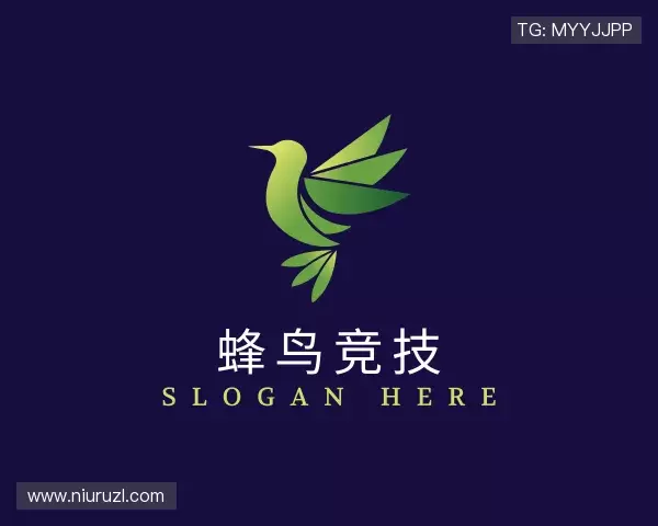 介绍蜂鸟竞技